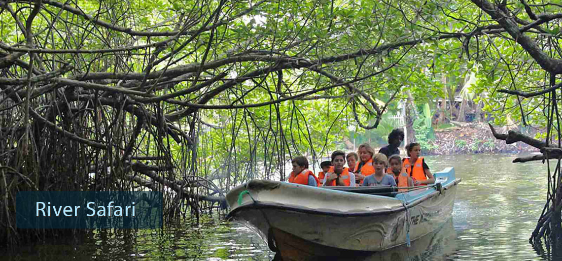 River Safari Sri Lanka, Find Sri Lanka Safari Operator
