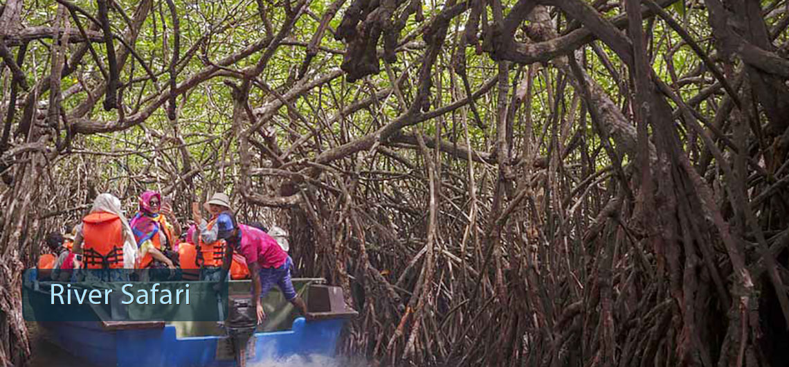 River Safari Sri Lanka, Sri Lanka Safari Guide, Find Sri Lanka Safari Operator