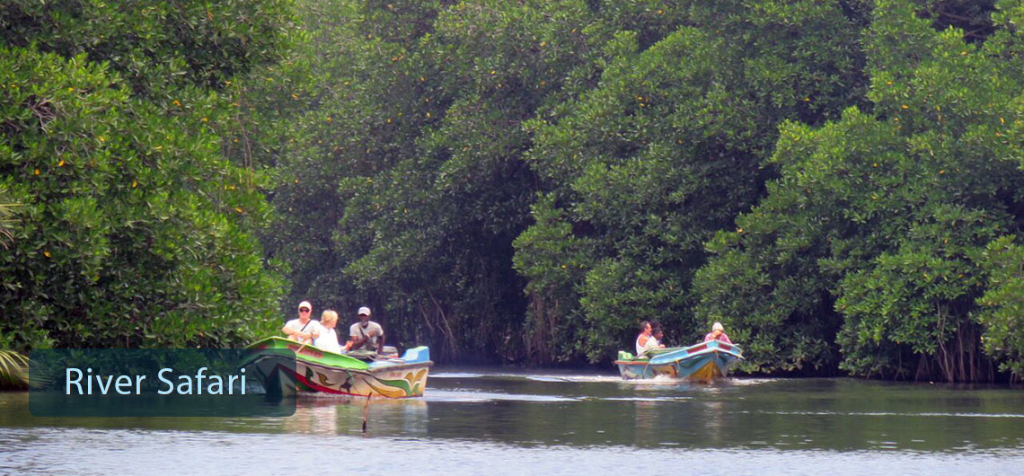 River Safari Sri Lanka, Sri Lanka Safari Guide, Find Sri Lanka Safari Operator