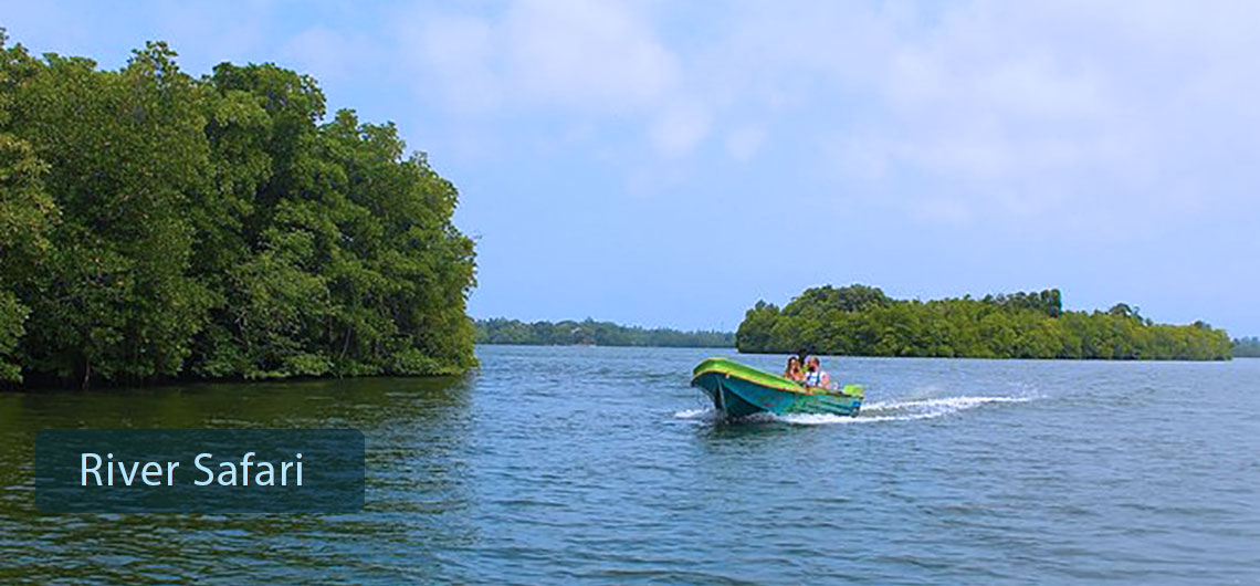 River Safari Sri Lanka, Sri Lanka Safari Guide, Find Sri Lanka Safari Operator