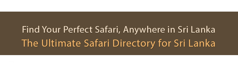 Travel destinations in Sri Lanka