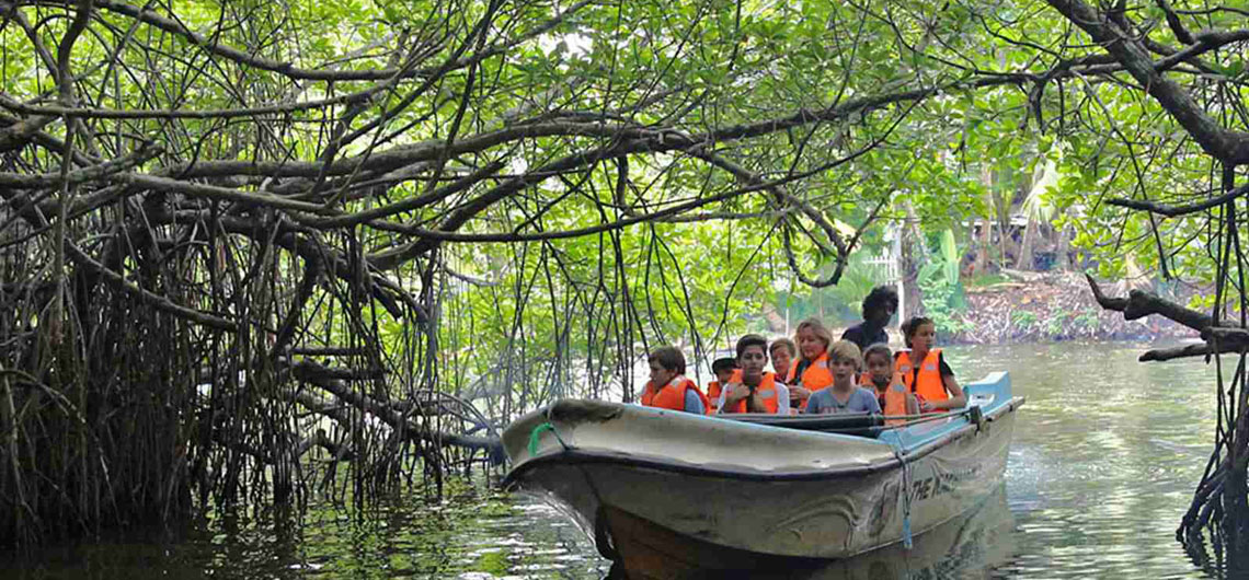 Sri Lanka Safari Guide, Find Sri Lanka Safari Operator