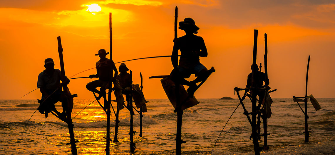 Sri Lanka Safari Guide, Find Sri Lanka Safari Operator